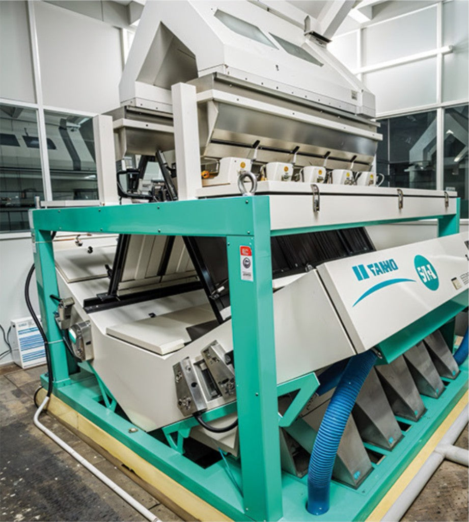 AI Sortex colour sorter